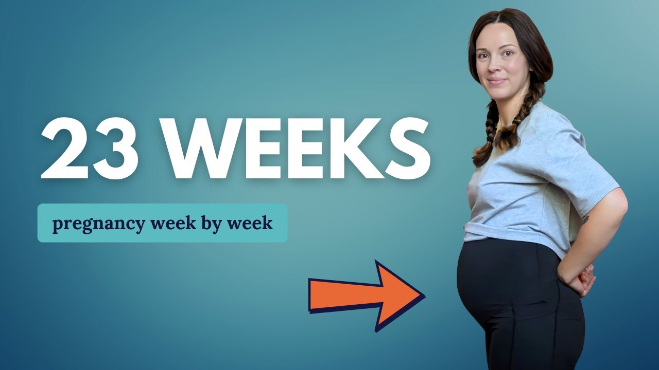 23 Weeks Pregnant 🤰 What to Expect: Changes for You & Baby Development ...