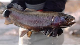 Solitude: Fly Fishing Film at Green River, Utah