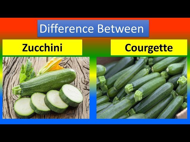 Zucchini / courgette