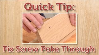 Quick Tip: Fix a Protruding Screw Net Worth