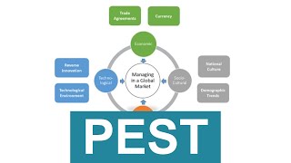 PEST Analysis