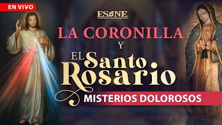 Coronilla a la Divina Misericordia y Santo Rosario: Misterios Dolorosos screenshot 3