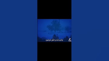 ما تيسر من سورة المؤمنون بصوت الشيخ المنشاوي #quran #تلاوة_هادئة #محمد_صديق_المنشاوي #صدقه_لي_ولكم