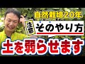 【自然栽培320】やり方を間違えると、土が弱るので注意が必要ですよ🌈