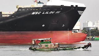 SHIP SPOTTING - MANY BIG SHIPS AT BUSTLING PORT by ShipSpotting Vietnam 1,986 views 4 weeks ago 17 minutes