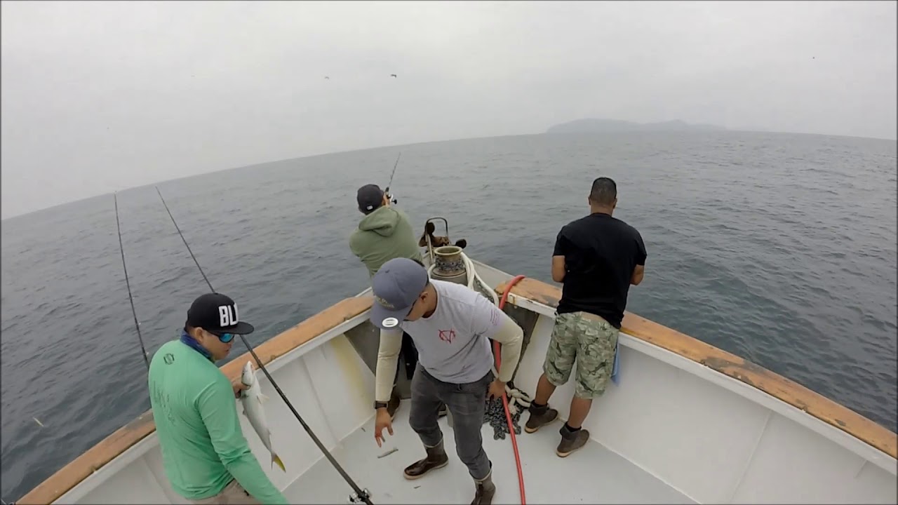 9/4/2017 Mission Belle Yellowtail Fishing YouTube
