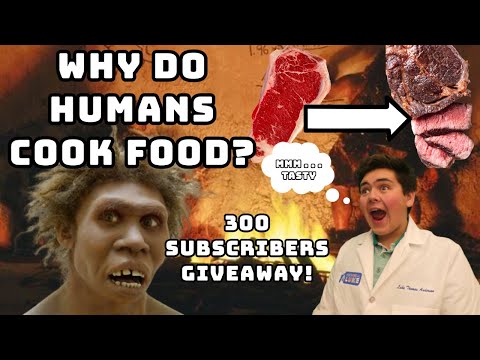 WHY DO HUMANS COOK FOOD? | Medical Anthropology, Evolution, Pathogens, Raw Meat | 300 Subs Giveaway!