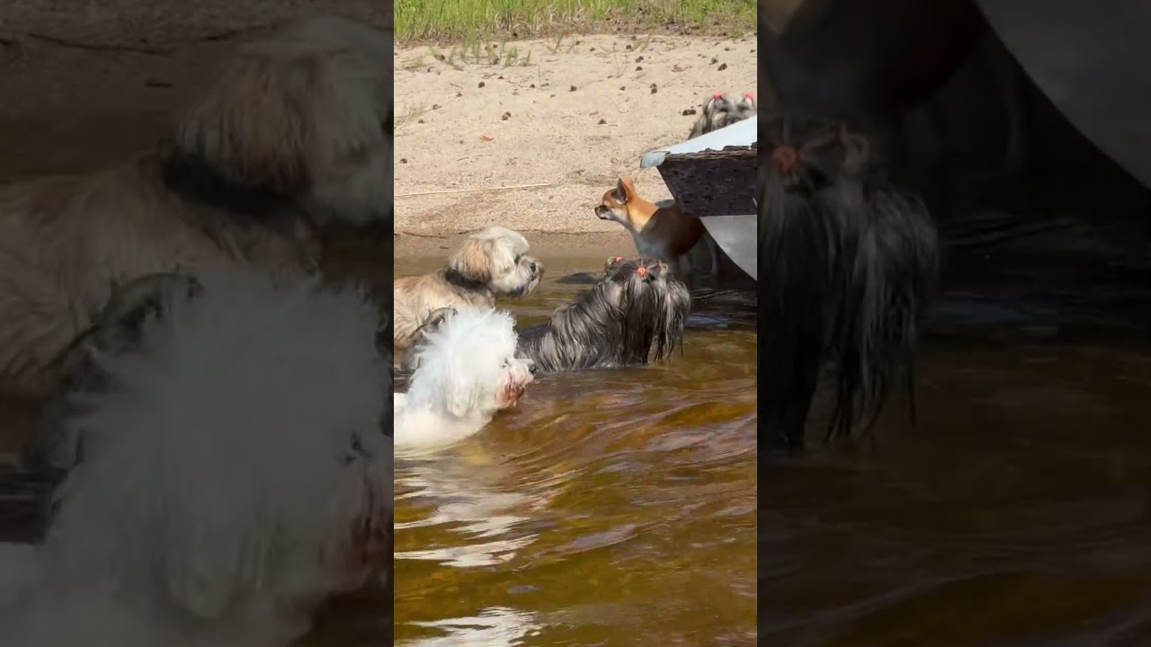 PELKKÄÄ NAADINDOO🌞