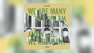 Soothsayers - We Are Many Samuel Sharp Remix Audio