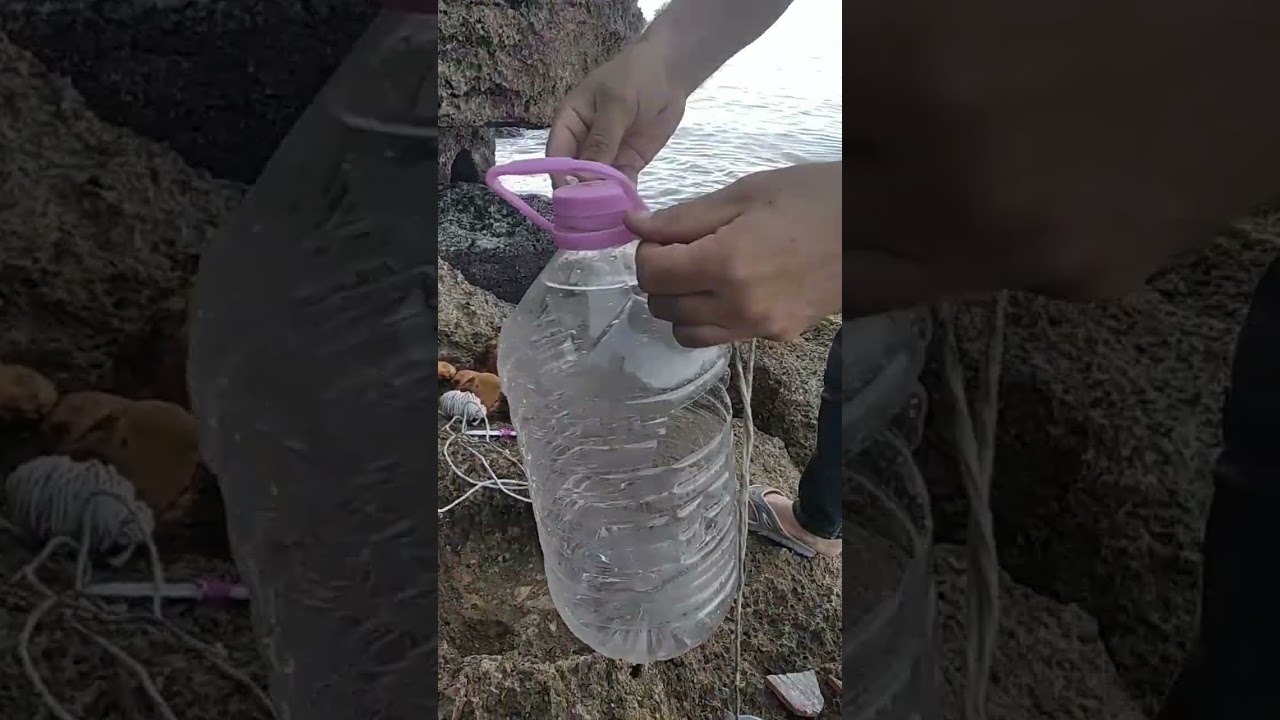 صيد السمك بالقارورة.