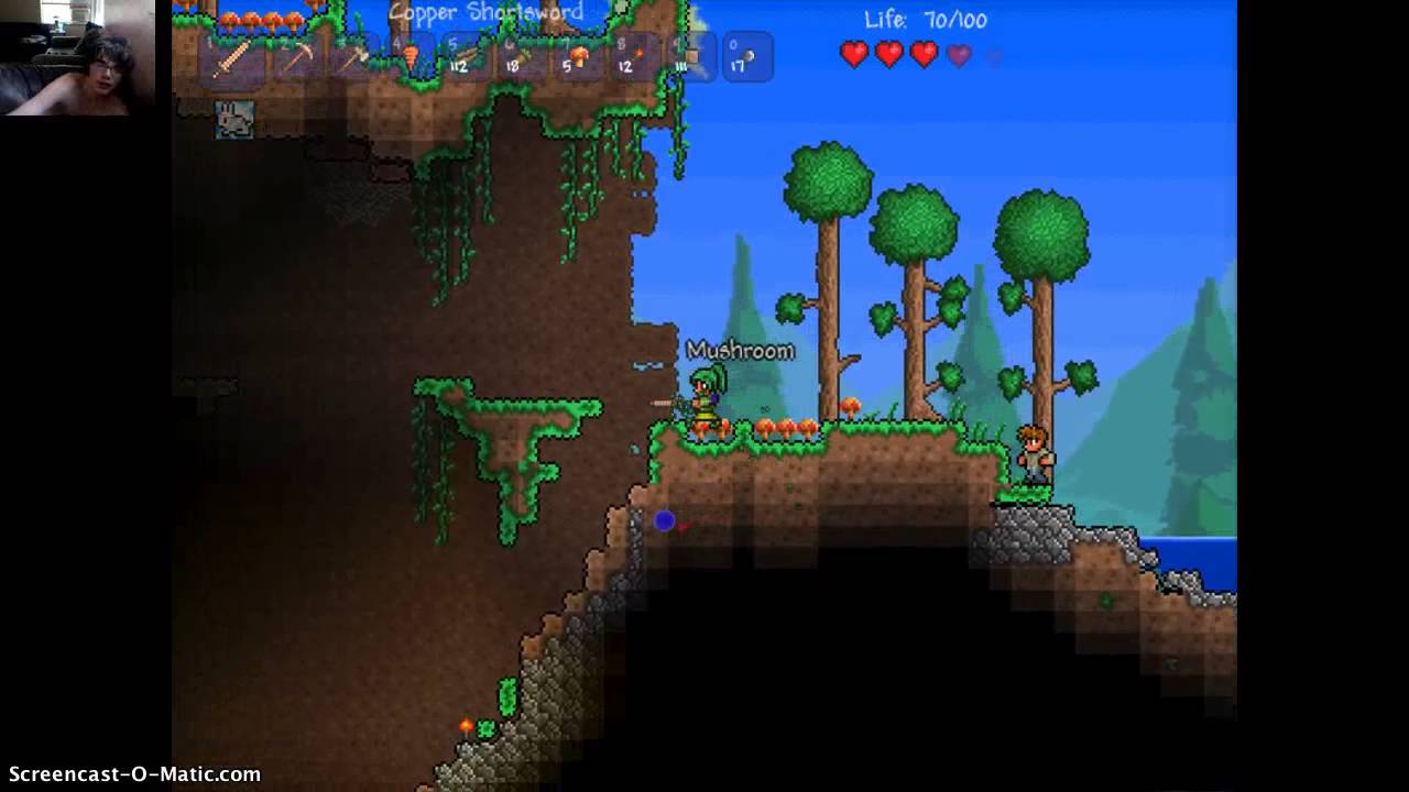 Tmod loader for terraria 1.4. Система городов террария. Система городов в террарии 1.4 схема. Система городов террария таблица. Террарии14 система городов.