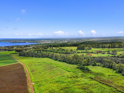 6 Kaiwiki Rd, Hilo, HI home video tour