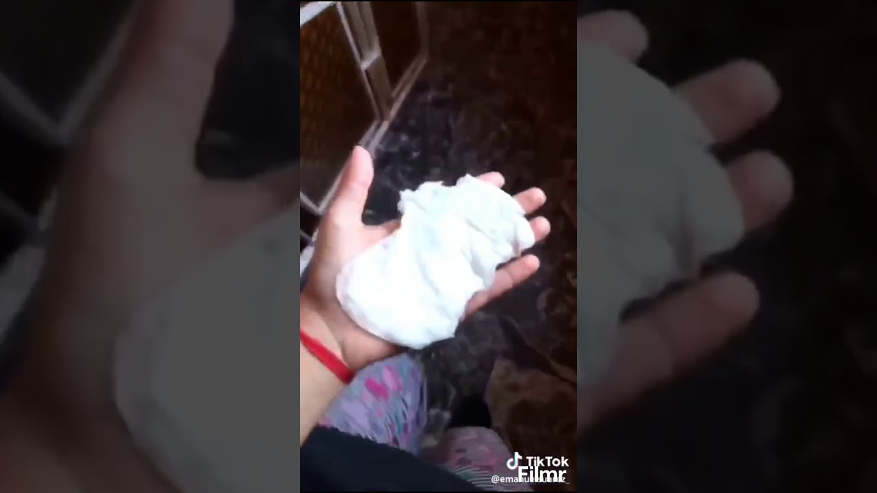 Y.M.C.A. TikTok