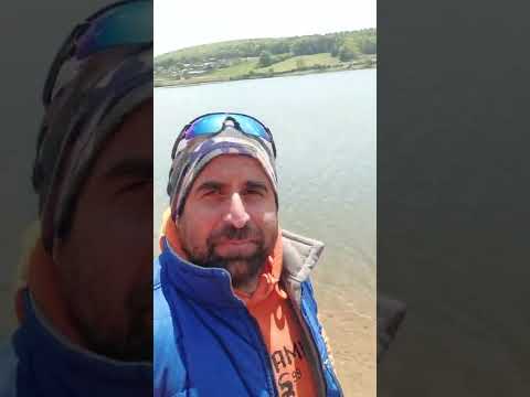 kestel kazanci koy