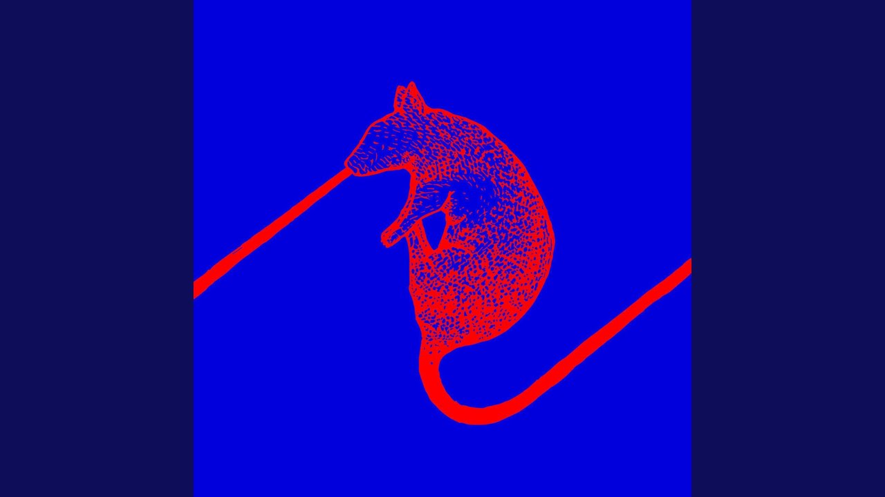 Rats Don't Eat Synthesizers