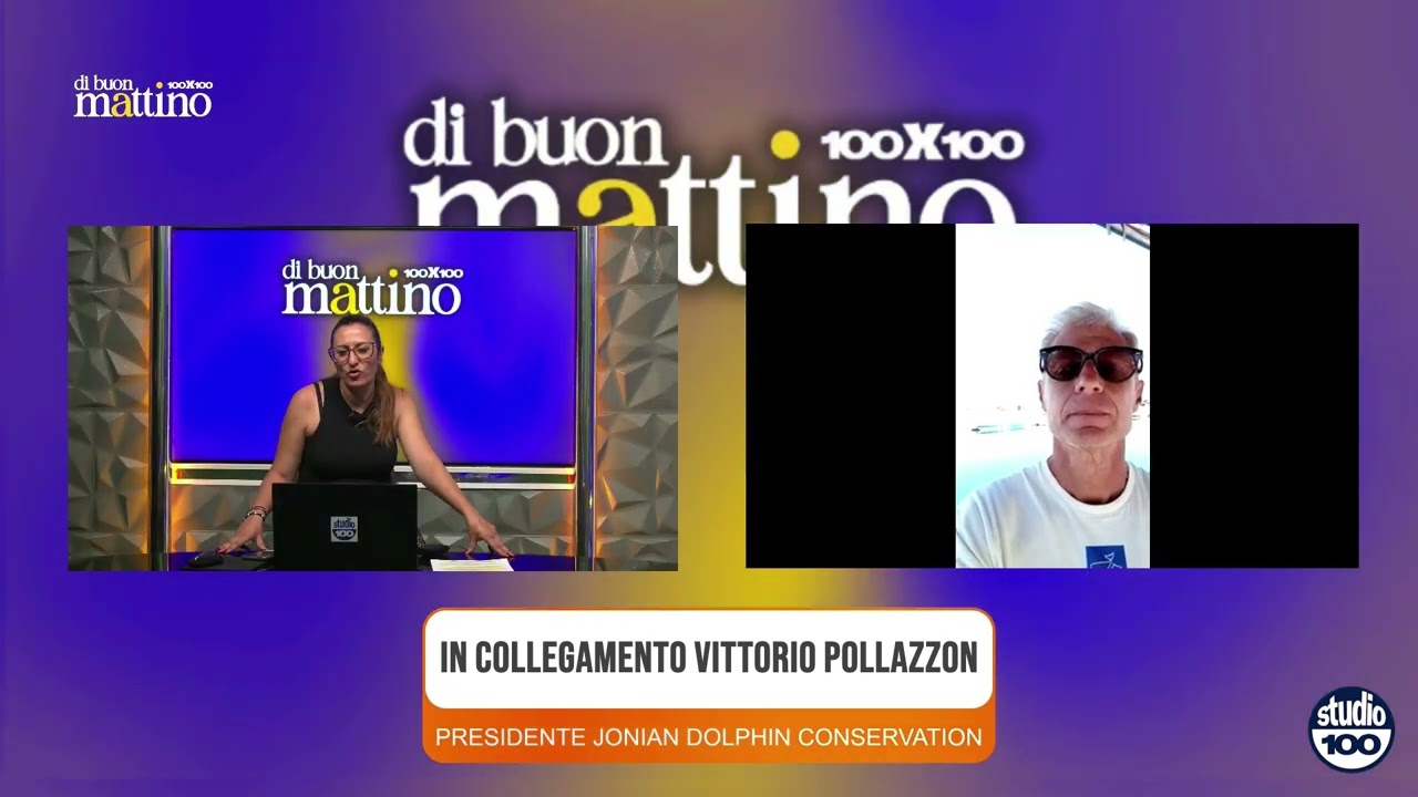 Arrivano a Taranto Reef Ball per tutelare i delfini a largo di San Pietro