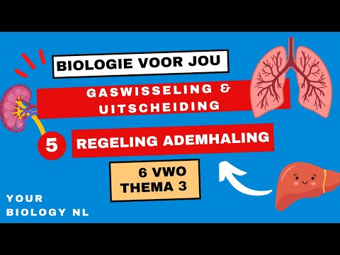 Video: Welke enzymen zijn betrokken bij de ademhaling?