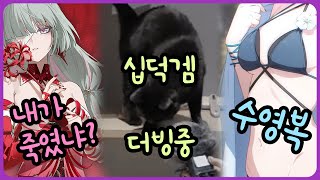 고양이 성우ㅋㅋ / 플로로는 잘못한거 없음;; / 또 집단 장례식
