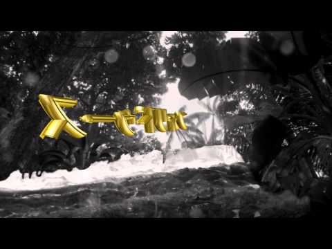 Faisal - Bitches (Remix)
