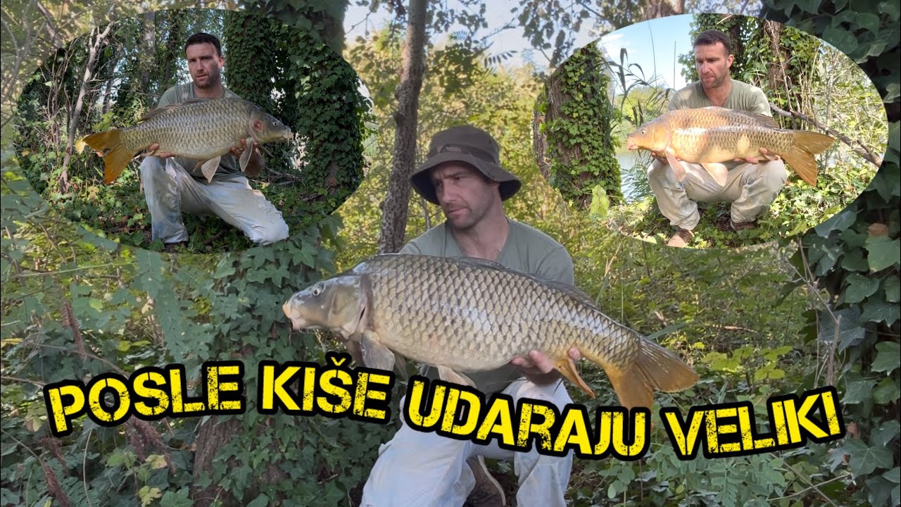 KAD REKA DAJE KRUPNOG ŠARANA NA SVAKA 3 SATA * PREDVEZ KOJI PRAVI RAZLIKU?!