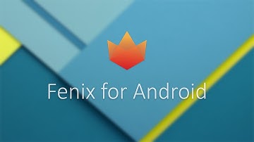 Fenix for Android Review