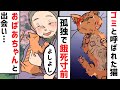 余命寸前のボロボロの猫「今までありがとう…」→病気のおばあちゃんへの最後の言葉が感動してヤバい…< マンガ動画 >【タイスケの動物感動日記】
