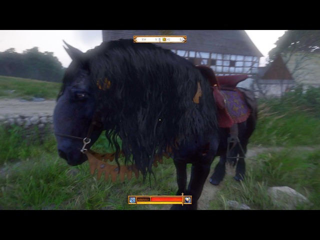 It Took Me 300 Hours to Find This Legendary Phantom Horse | Kingdom Come Deliverance 2