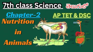 Nutrition in Animals / 7th class Science / Semester - 2 / #science #education #7th AP & TS