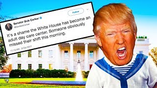 Republican Senator: "White House Has Become An Adult Day Care Center"