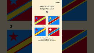 Guess The Real Flag 95 Suriname Iq Zidew