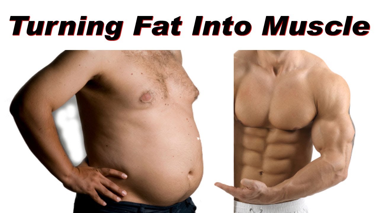 How To Turn Fat To Muscle 26