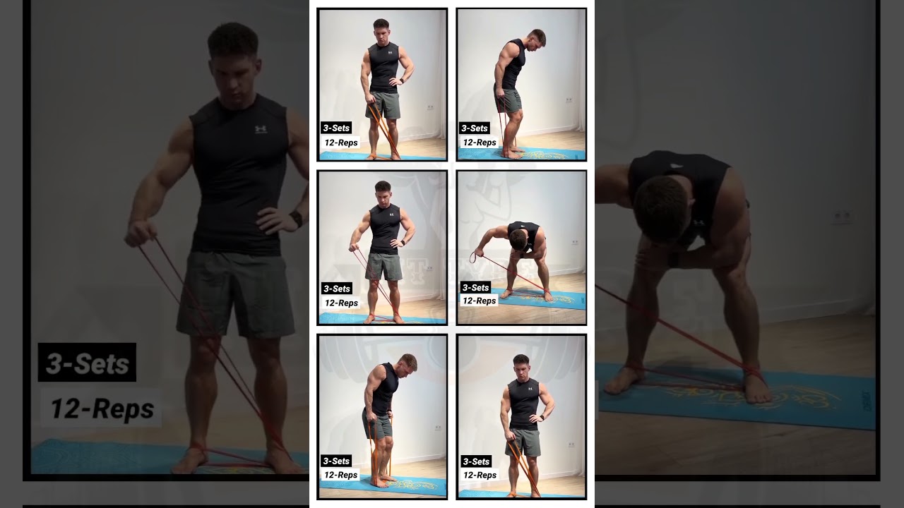 Shoulder Workout With Resistance Band #music #resistance #workout #gymworkout #fittype #fitness