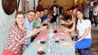 Fruškogorska vinarija Mačkov podrum