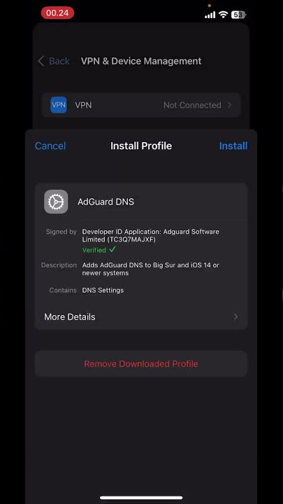 Cara Mudah Hilangkan Iklan di iPhone tanpa VPN (cek deskripsi)