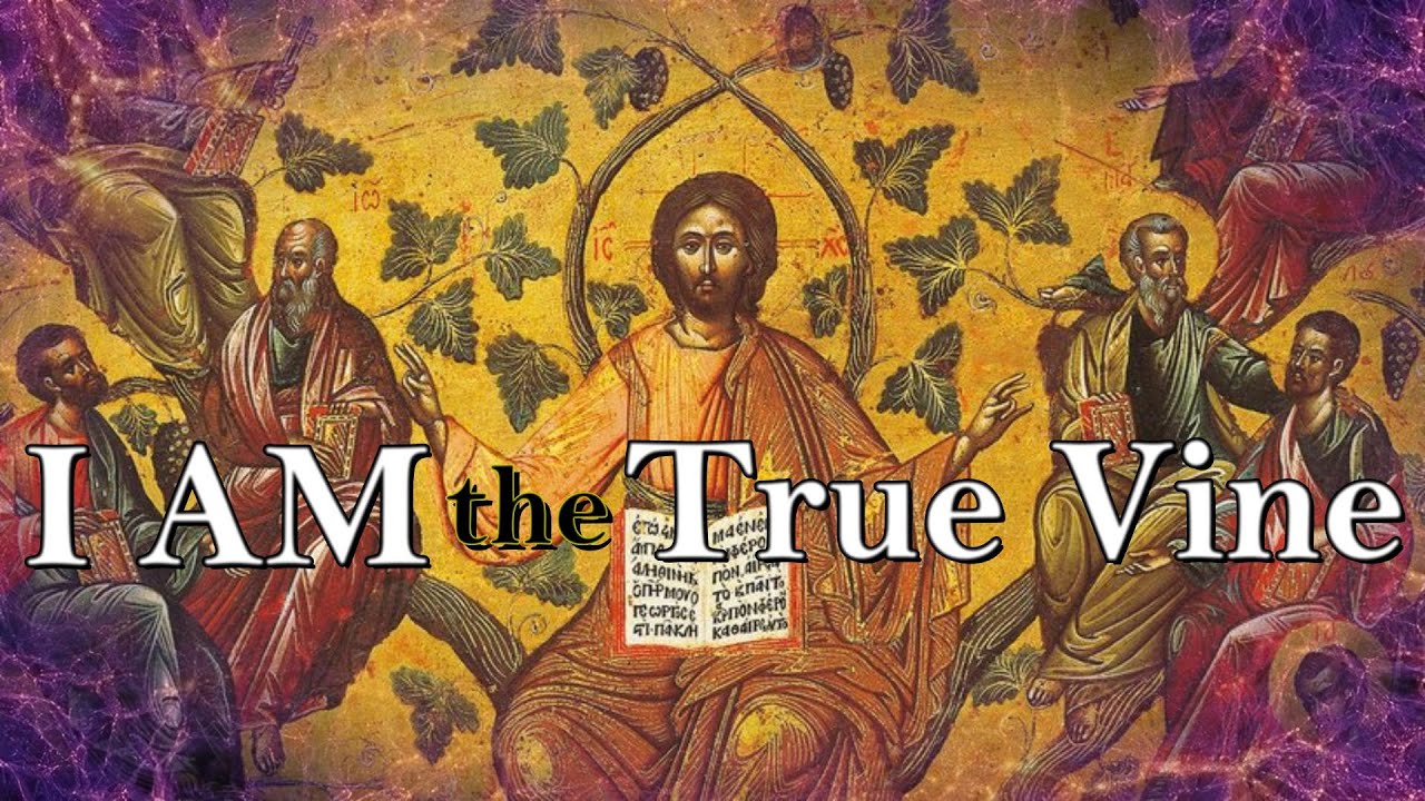 How the Jesus Tree Metaphor explains the Whole of Reality || John 15