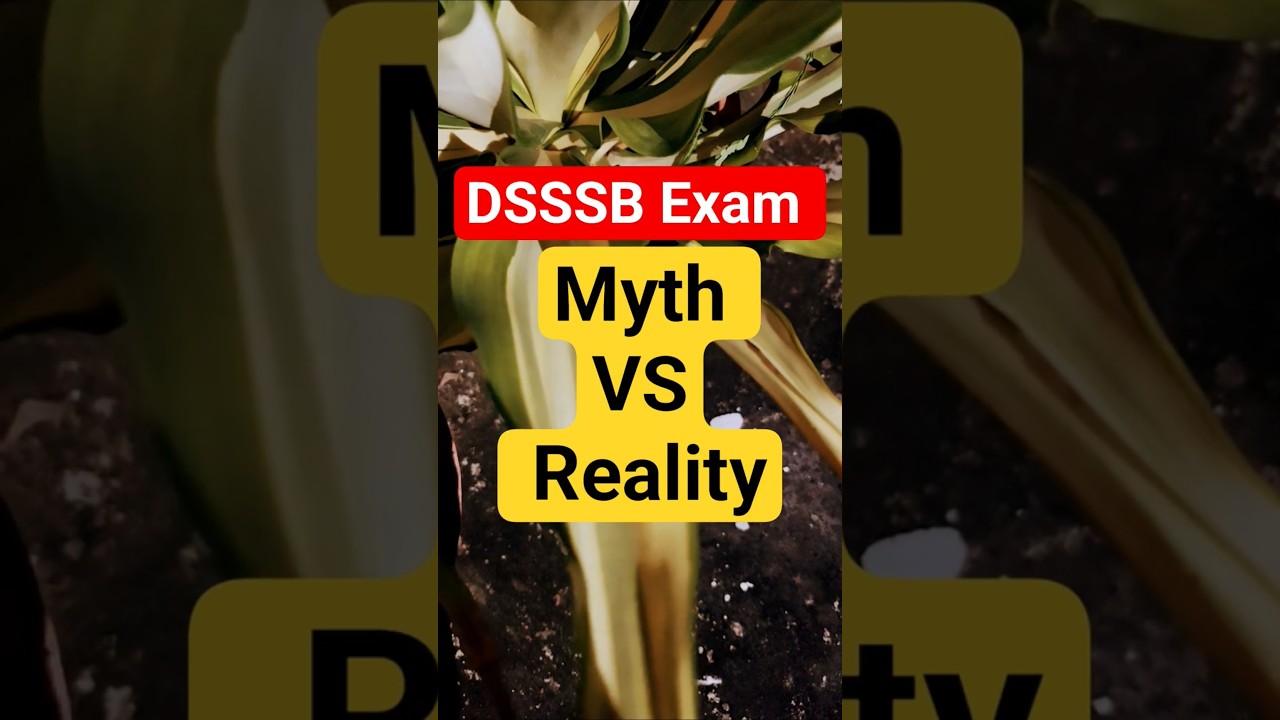 DSSSB Exam Myths Busted in 15 Seconds 🔥 Don’t Be Confused ✅