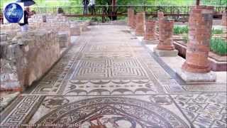 🏛️ Mosaicos romanos de Conimbriga Portugal
