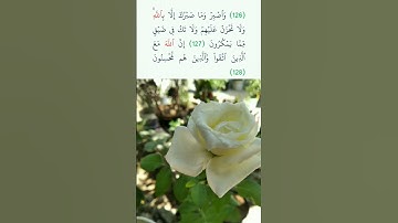 سورة النحل ❤️ القارئ فارس عباد