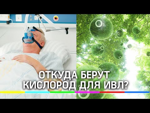 Откуда врачи берут кислород для ИВЛ? Как упаковывают драгоценный газ для больных коронавирусом