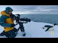 Never Before Filmed Moments | Secrets of the Penguins | National Geographic