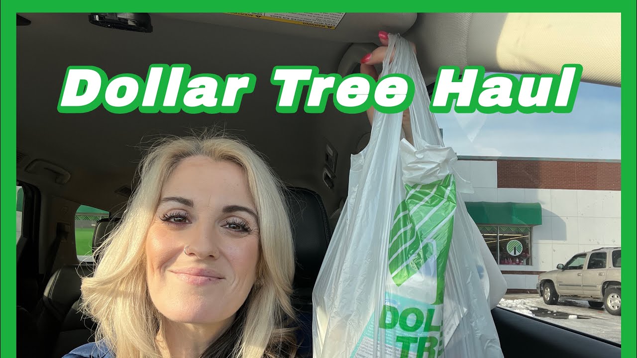 Покупка в Dollar Tree