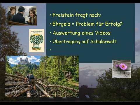 Zu viel Ehrgeiz - eine Gefahr für den Erfolg? Die 80/20-Regel und der "qualitative Sprung"
