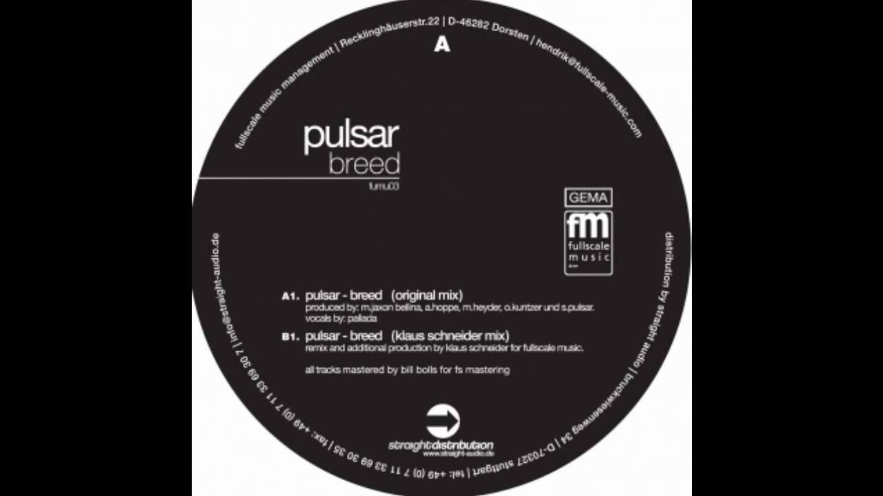 Pulsar -  Breed (Klaus Schneider Rmx)