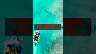Master dopepics.io AI image editing: Fast crash course for stunning visuals.