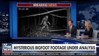 9 Times Bigfoot Was Caught On Camera… And Not One Was Ever Debunked
