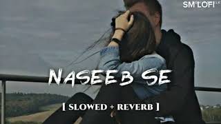 Naseeb se (Slowed+Reverb) | Payal Dev and Vishal Mishra | SM LOFI |
