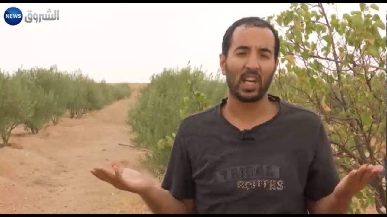 تبسة: شاب يحول أرضا قاحلة إلى جنة خضراء..بشعار الفلاحة بدل البترول