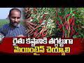 రైతు కష్టానికి తగ్గట్టుగా మెయింటైన్ చెయ్యాలి Mirchi seeds | #anchornagesh @SignatureStudiostv