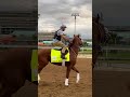 It's Your Right to Party at the Kentucky Derby!