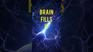 You Have a Hidden Blind Spot… And Your Brain Is Lying to You!  #mindblowingfacts
